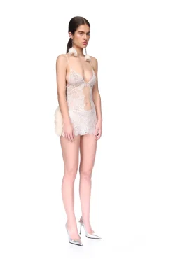 LACE AND RUFFLE TULLE MINI DRESS